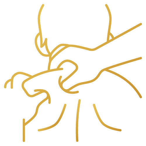 back deep tissue massage - Sugar Land, TX - Pan Thai Massage